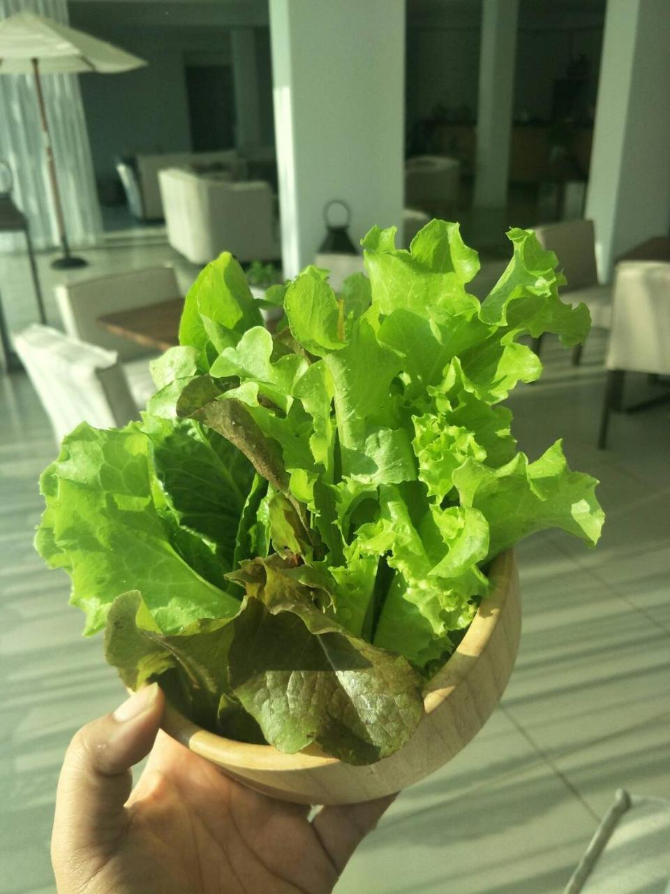 The White Garden Premier Saraburi Hotel Ban Dao Ruang  Екстериор снимка
